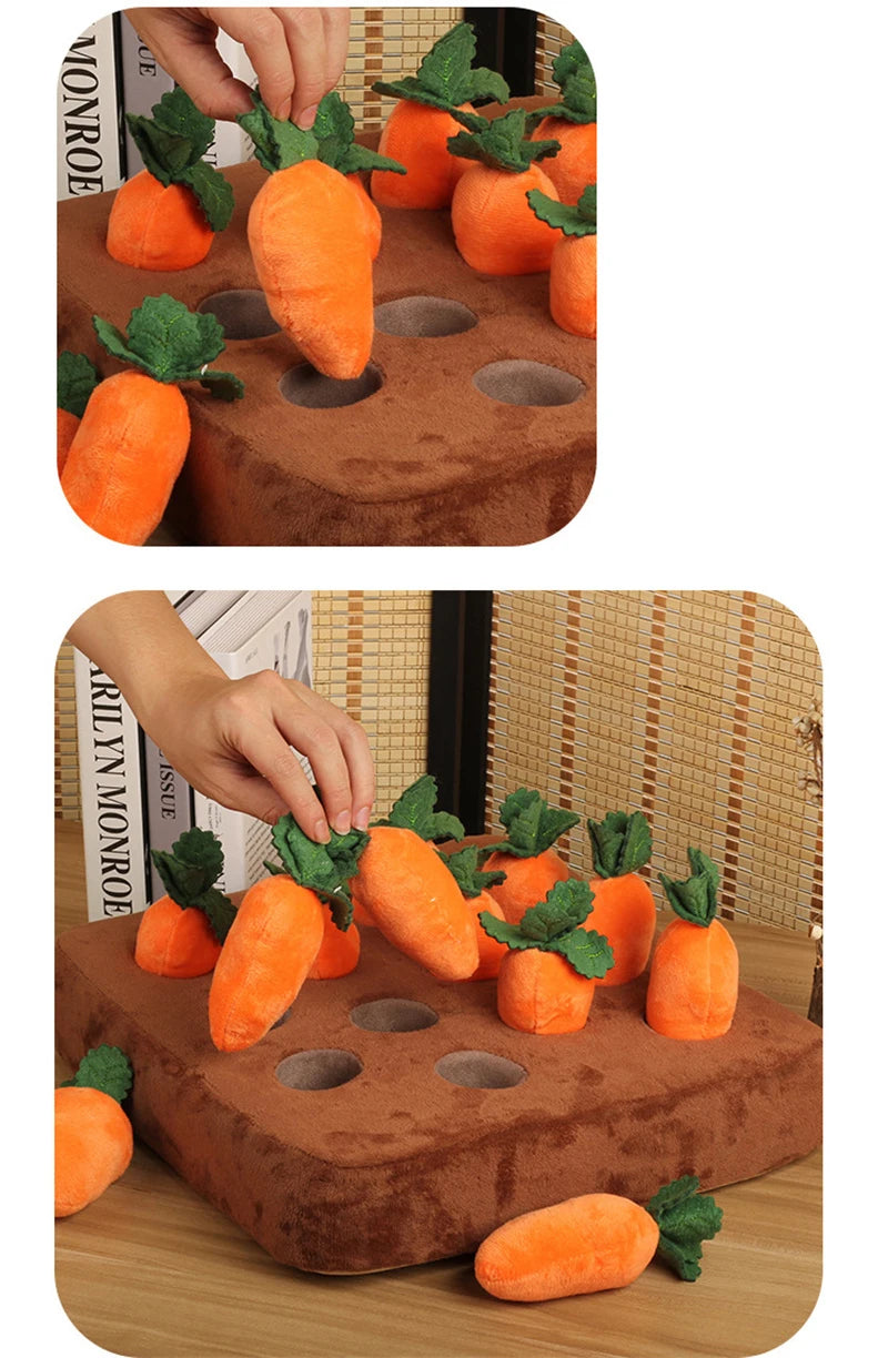 Carrot Toy Mat Innovative