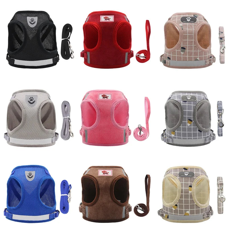 Sets Reflective Mesh Harnesses for Small