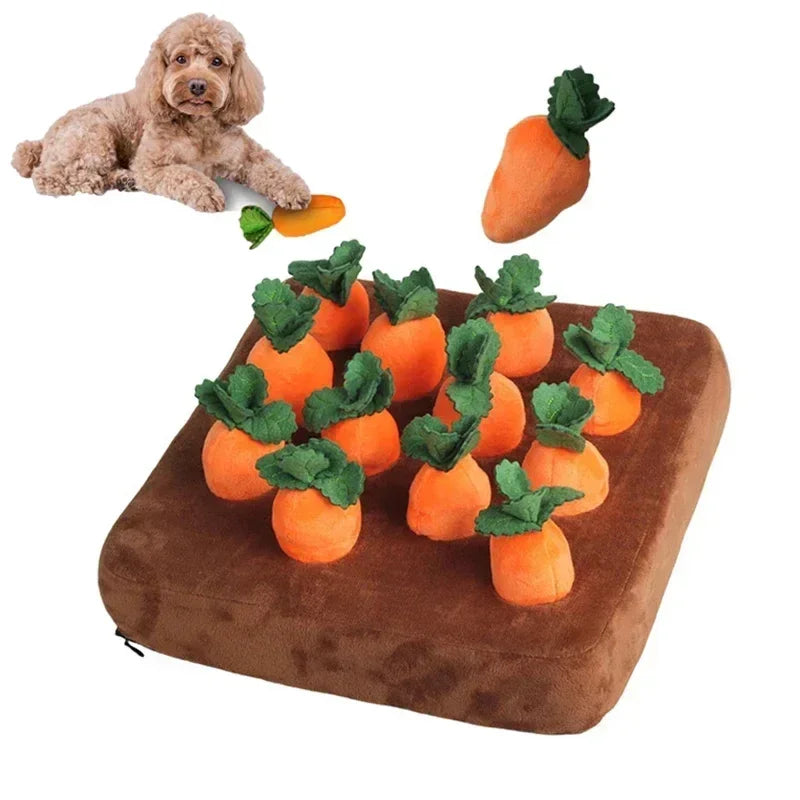 Carrot Toy Mat Innovative