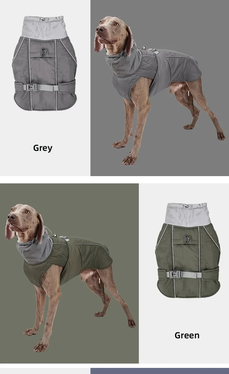 Light Luxury Winter Jacket