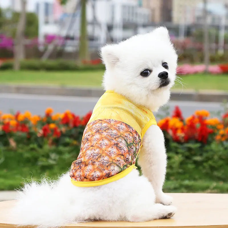 Soft Cotton Sweater