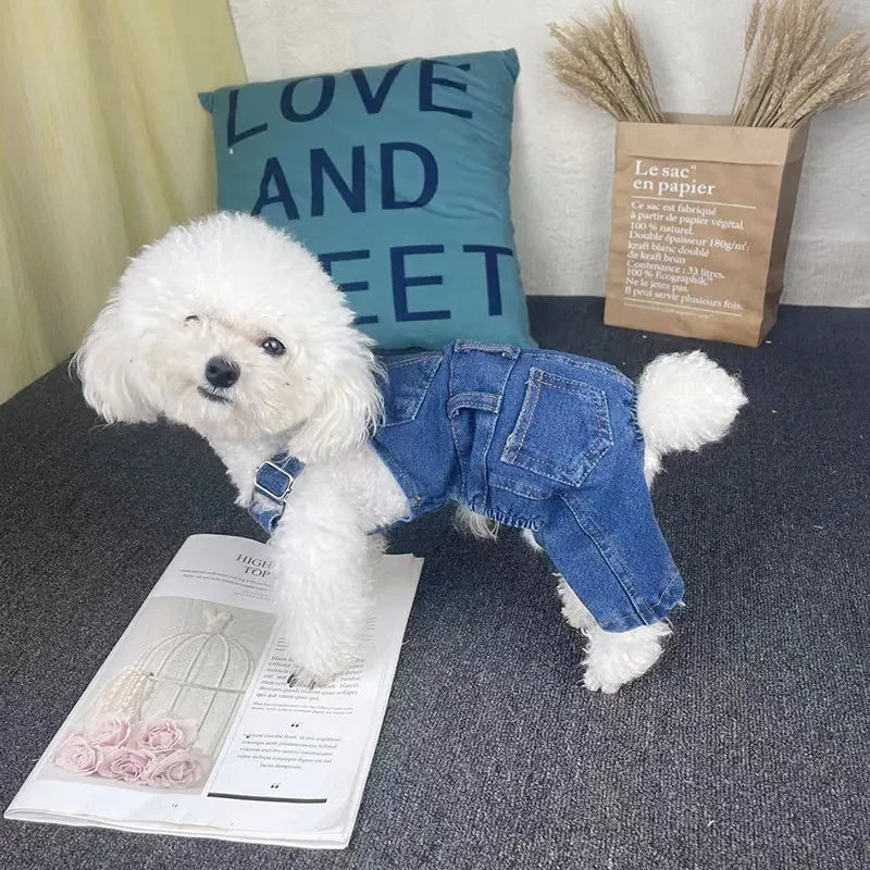 New Washable Stretchy  Denim Jacket