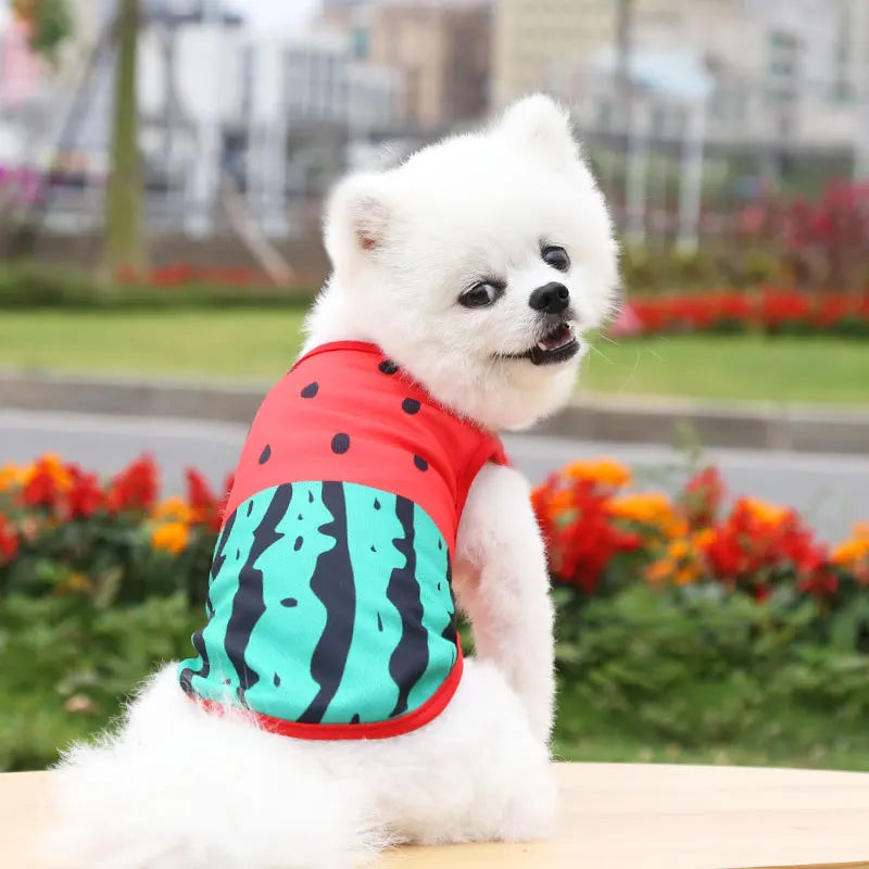 Soft Cotton Sweater
