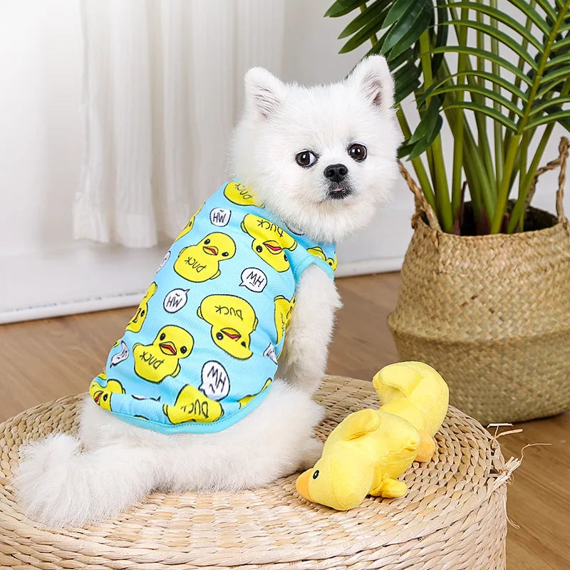 Soft Cotton Sweater