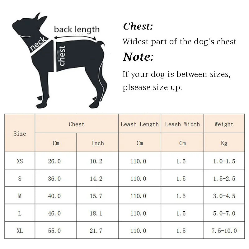 Sets Reflective Mesh Harnesses for Small