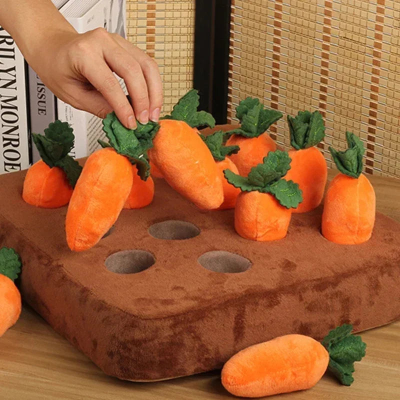 Carrot Toy Mat Innovative