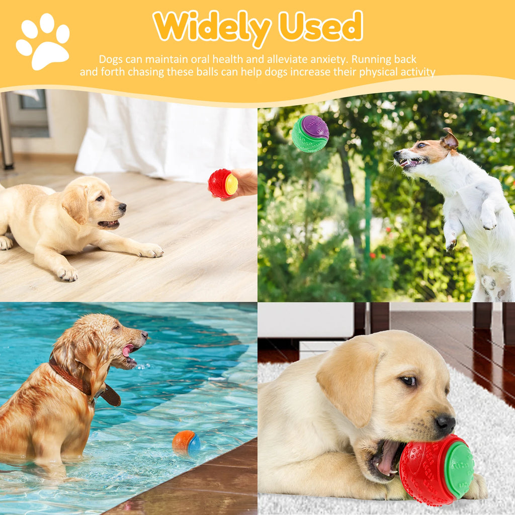 6Pcs Squeaky Balls