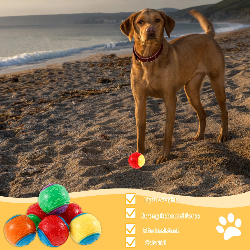 6Pcs Squeaky Balls