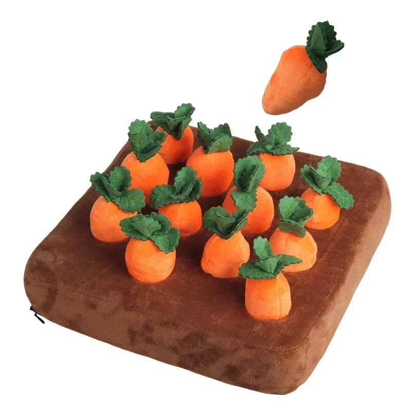 Carrot Toy Mat Innovative