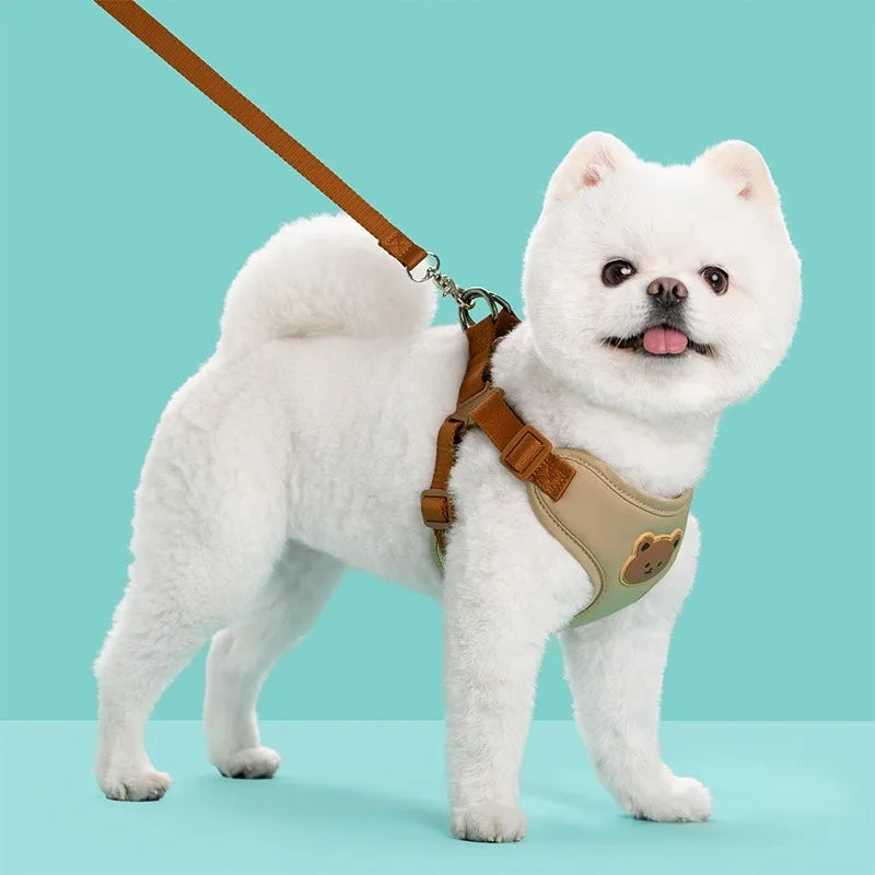 Harness Leash Set Small Medium Dog Cat