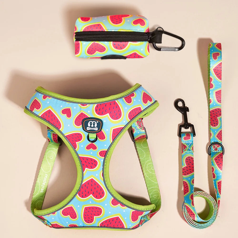 Set Love Heart Adjustable Harness