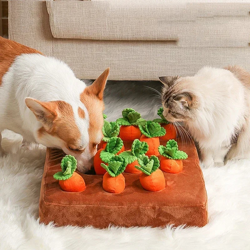 Carrot Toy Mat Innovative