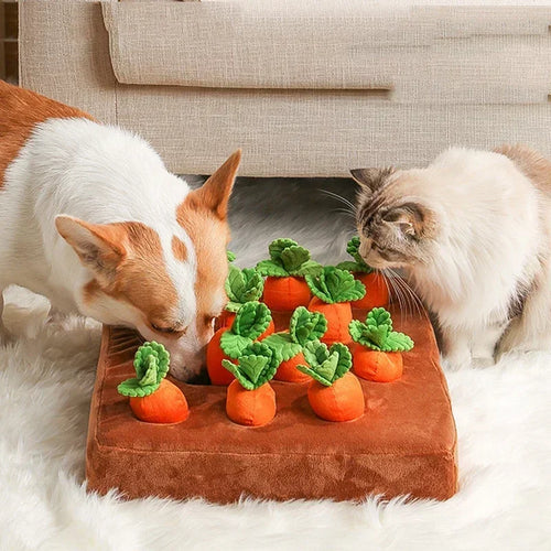 Carrot Toy Mat Innovative