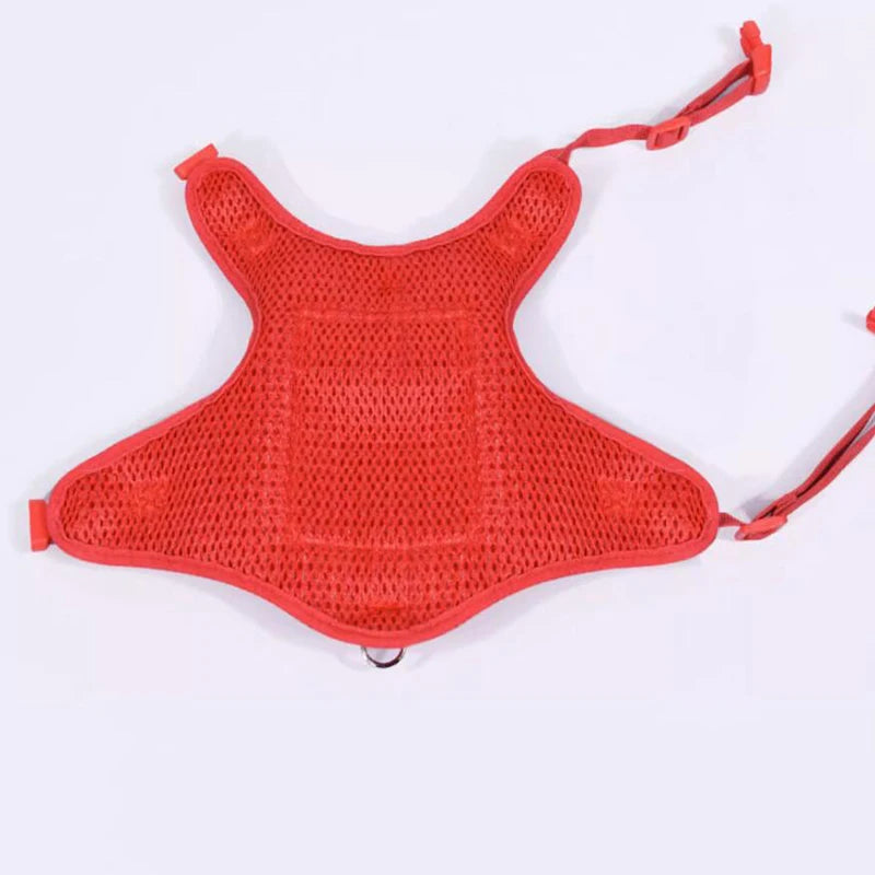 Harness and Leash Set