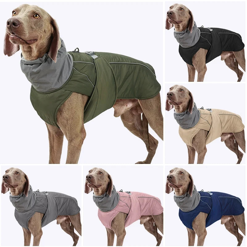 Light Luxury Winter Jacket