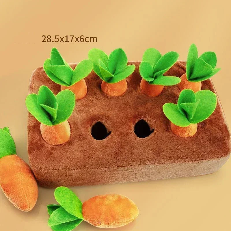 Carrot Toy Mat Innovative