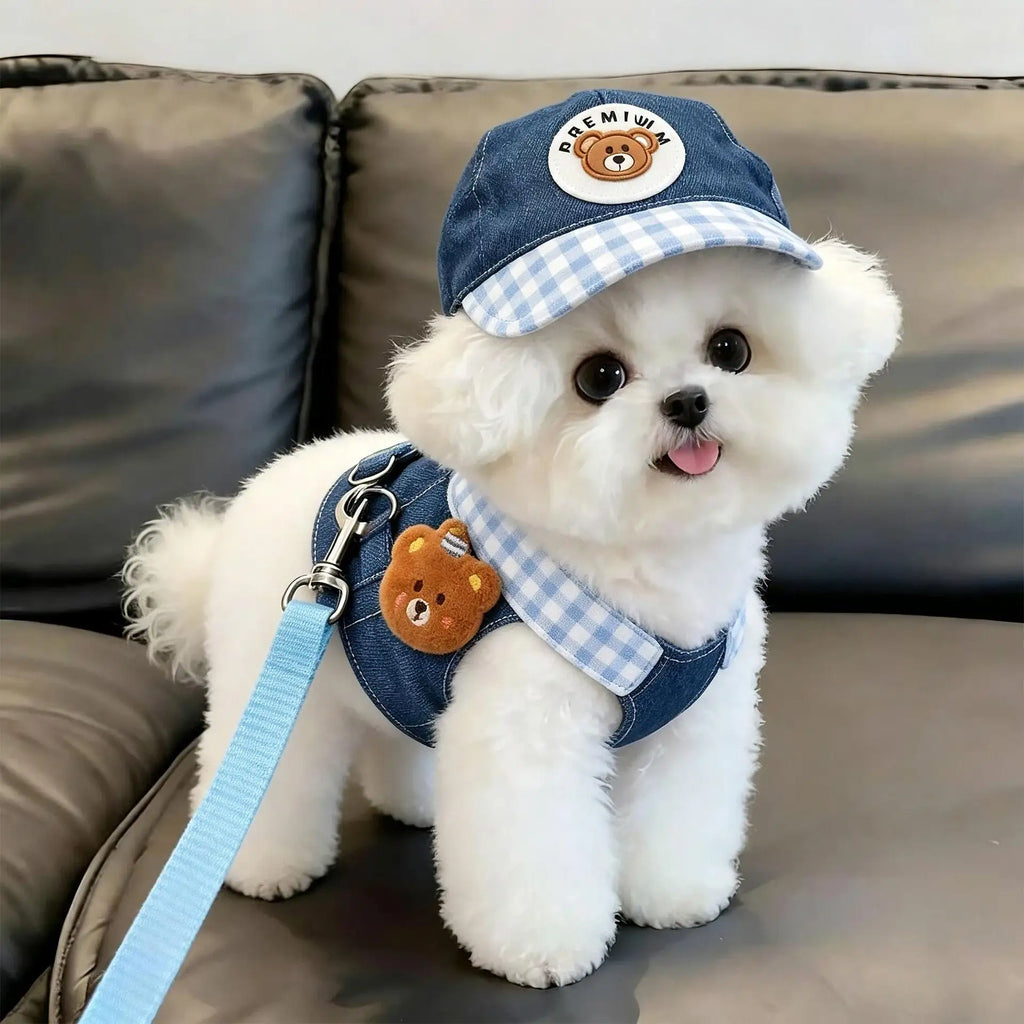 Dog Cat Hat Spring/Summer Harness and Leash