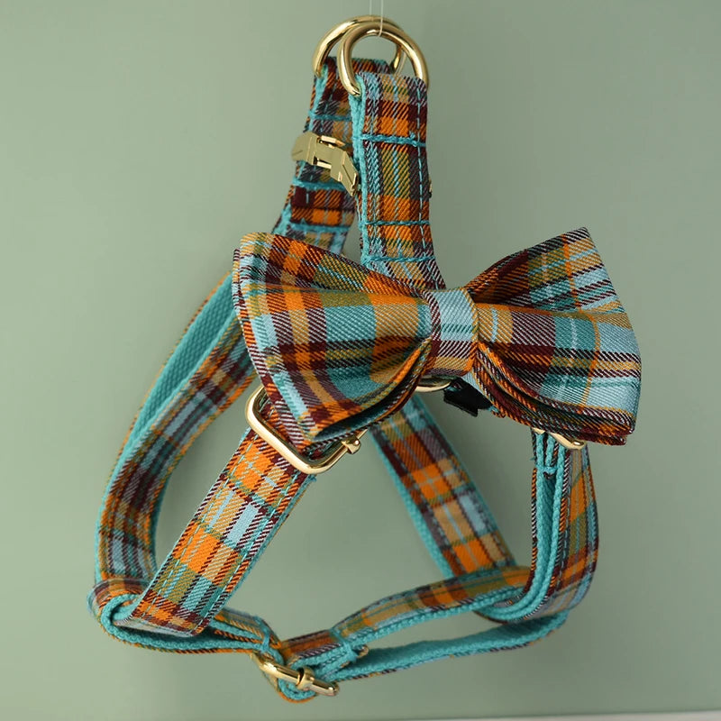 Collar Leash Harness Set Personalized