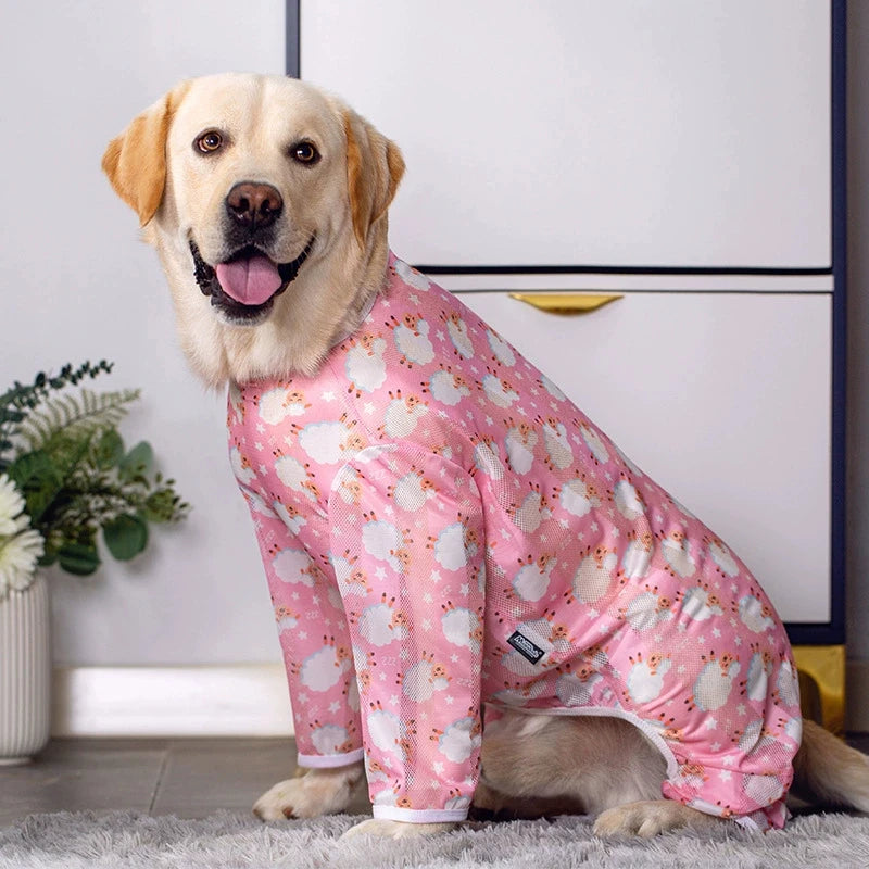 Large Sweater With Legs
