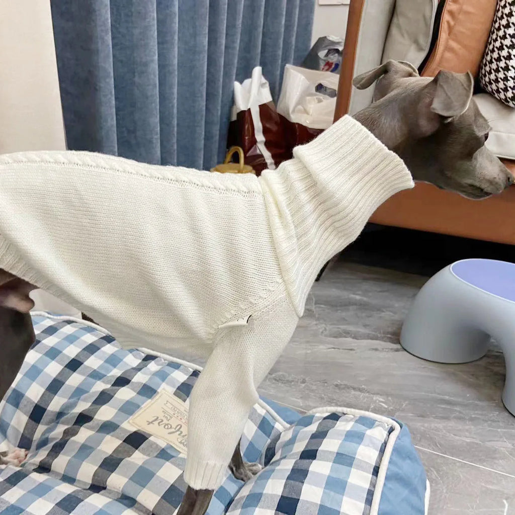 Italian Greyhound Sweater