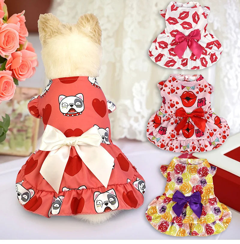 Party Outfit Dress