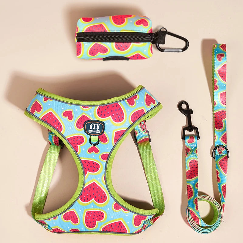 Set Love Heart Adjustable Harness