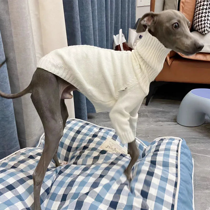 Italian Greyhound Sweater