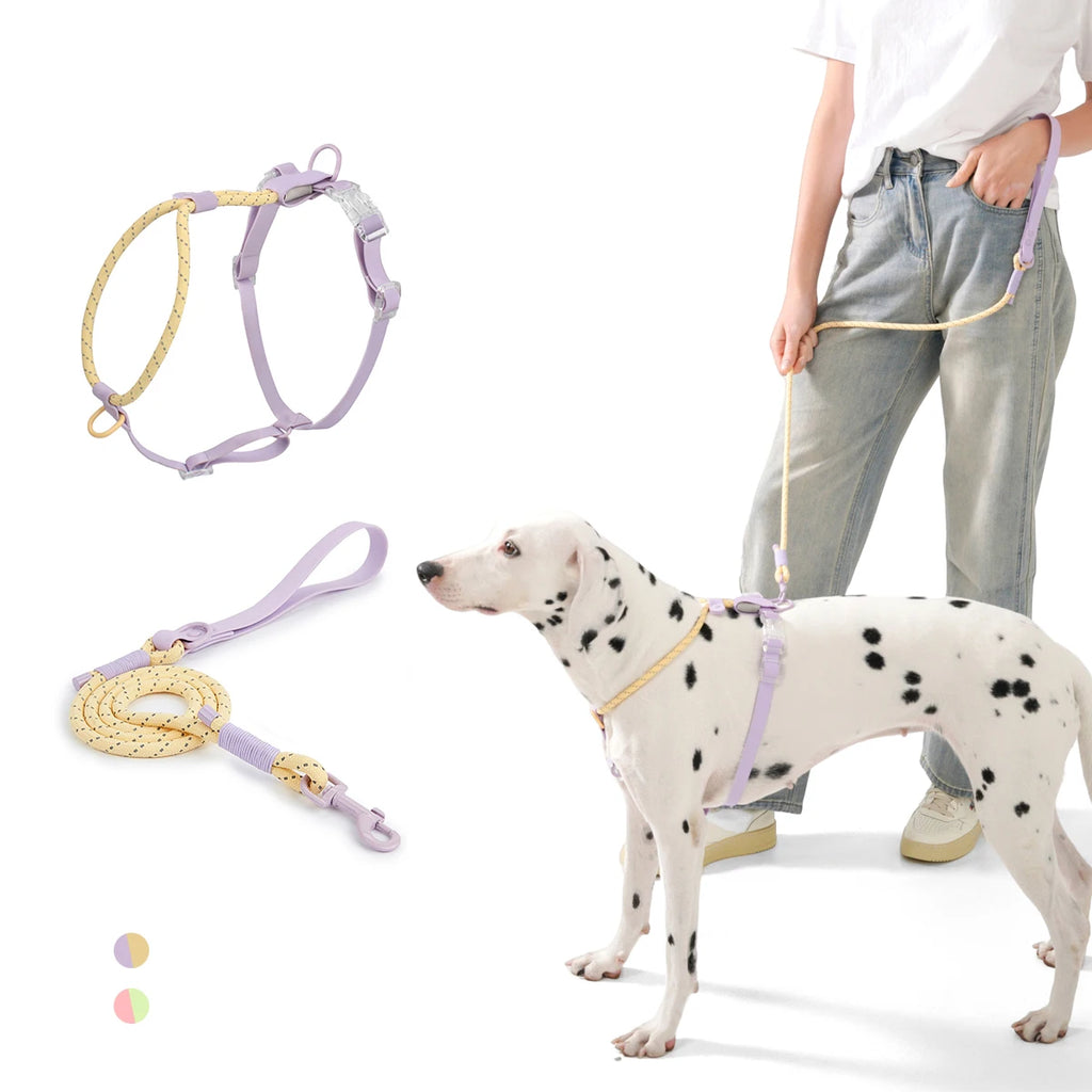 Small And Medium Harness Reflective Nylon Leashes