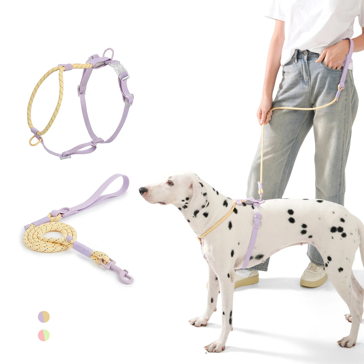 Small And Medium Harness Reflective Nylon Leashes