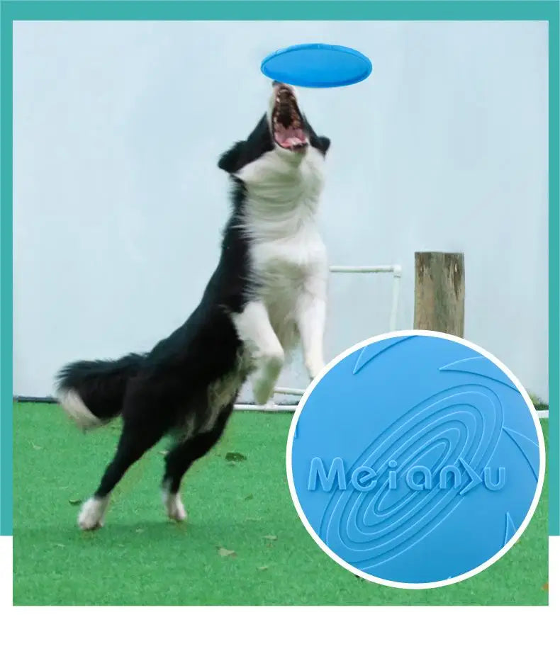Resistant Flying Disc
